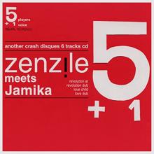 jamika meets ZZ (the beginning)